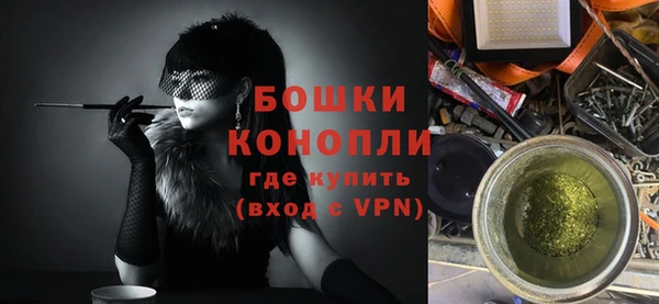 шишки Богданович