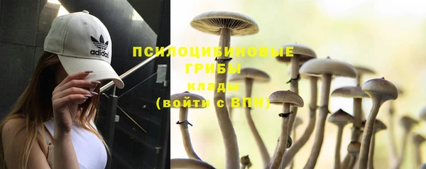шишки Богданович
