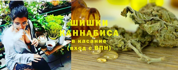 шишки Богданович
