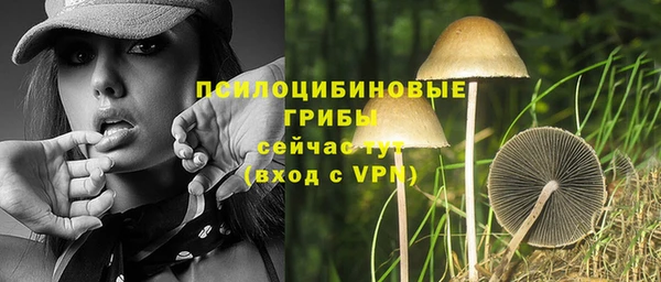 прущая мука Заволжск
