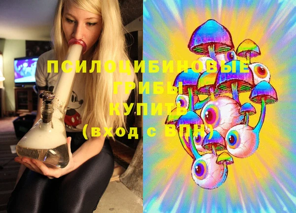 ALPHA-PVP Богородицк