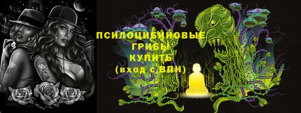ALPHA-PVP Богородицк