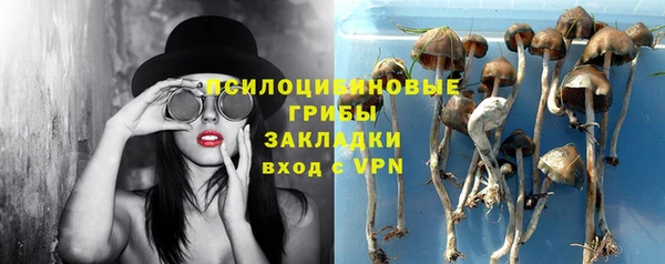 дживик Бугульма