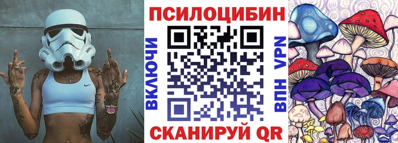 Галлюциногенные грибы Cubensis  где можно купить   Горно-Алтайск 